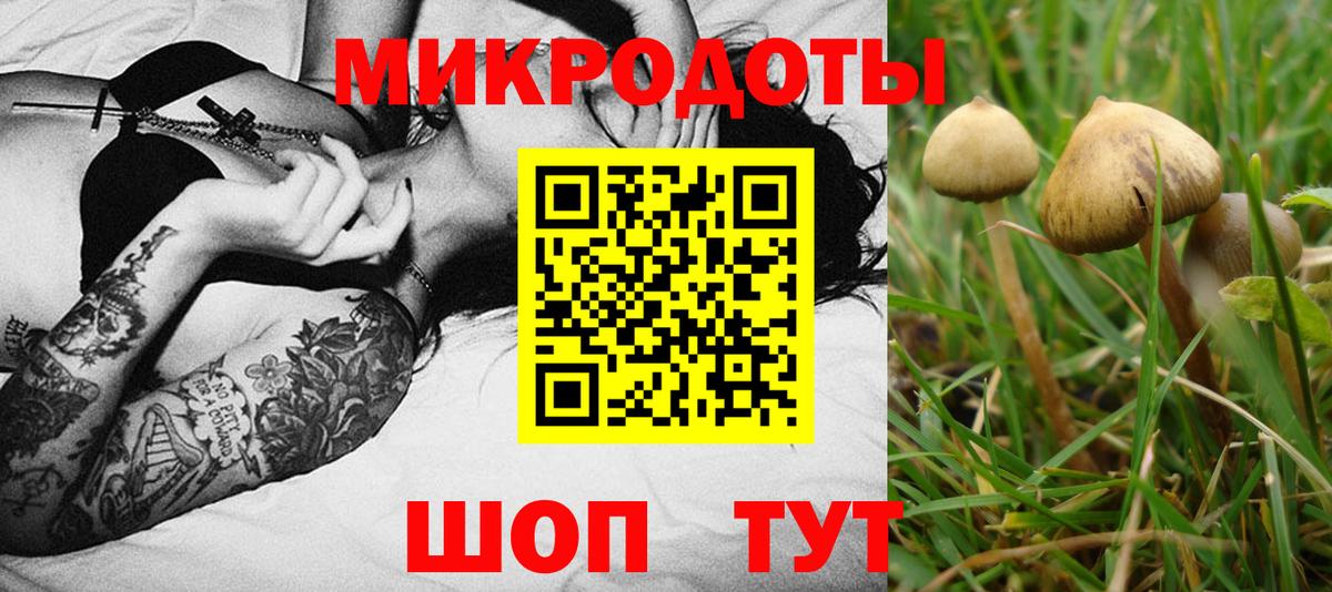 Галлюциногенные грибы Psilocybe  Псилоцибиновые грибы Magic Shrooms  Тимашёвск  Вход с VPN 