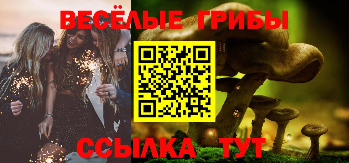 Галлюциногенные грибы мухоморы Тимашёвск